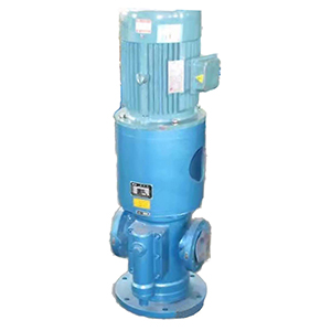 WSNS系列立式三螺桿泵圖一產品圖1