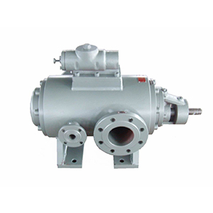 2G系列雙螺桿泵圖九產品圖3