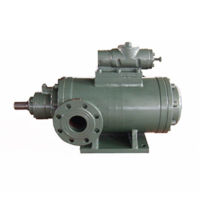 2G系列雙螺桿泵圖九產品圖2