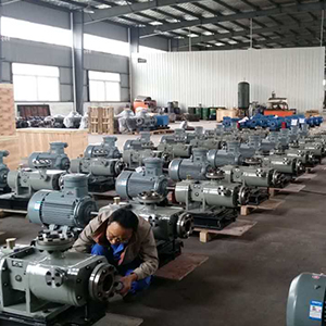 2Ga(b)系列雙螺桿泵圖七產(chǎn)品圖2